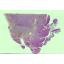 NM-TMinitiation-EPIT-05