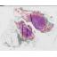 NM-TMinitiation-EPIT-03