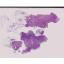 NM-TMinitiation-EPIT-01